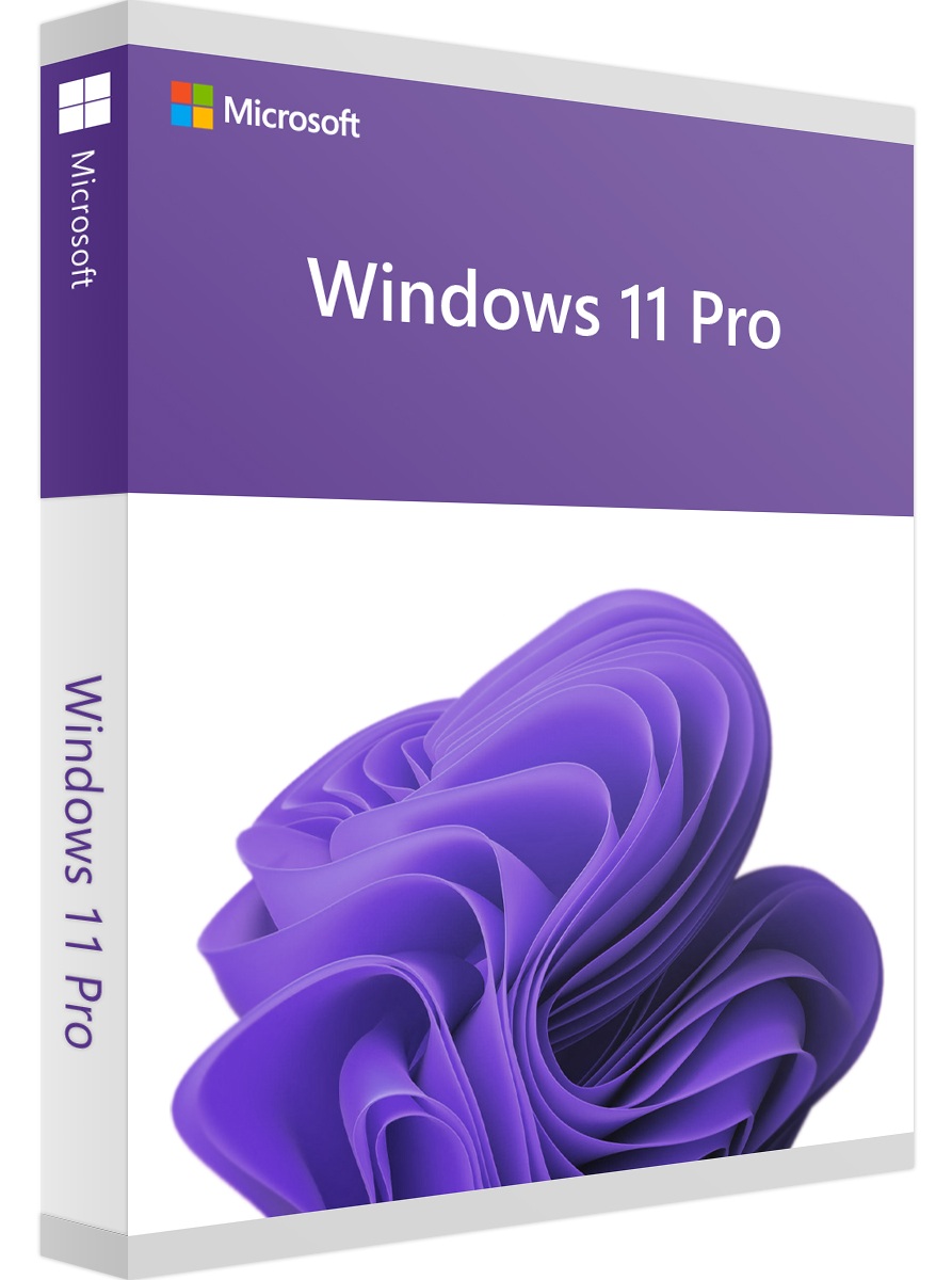 Microsoft Windows 11 Professional